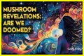 Unraveling The Disbandment Of Fifty Fifty: Insights And Revelations